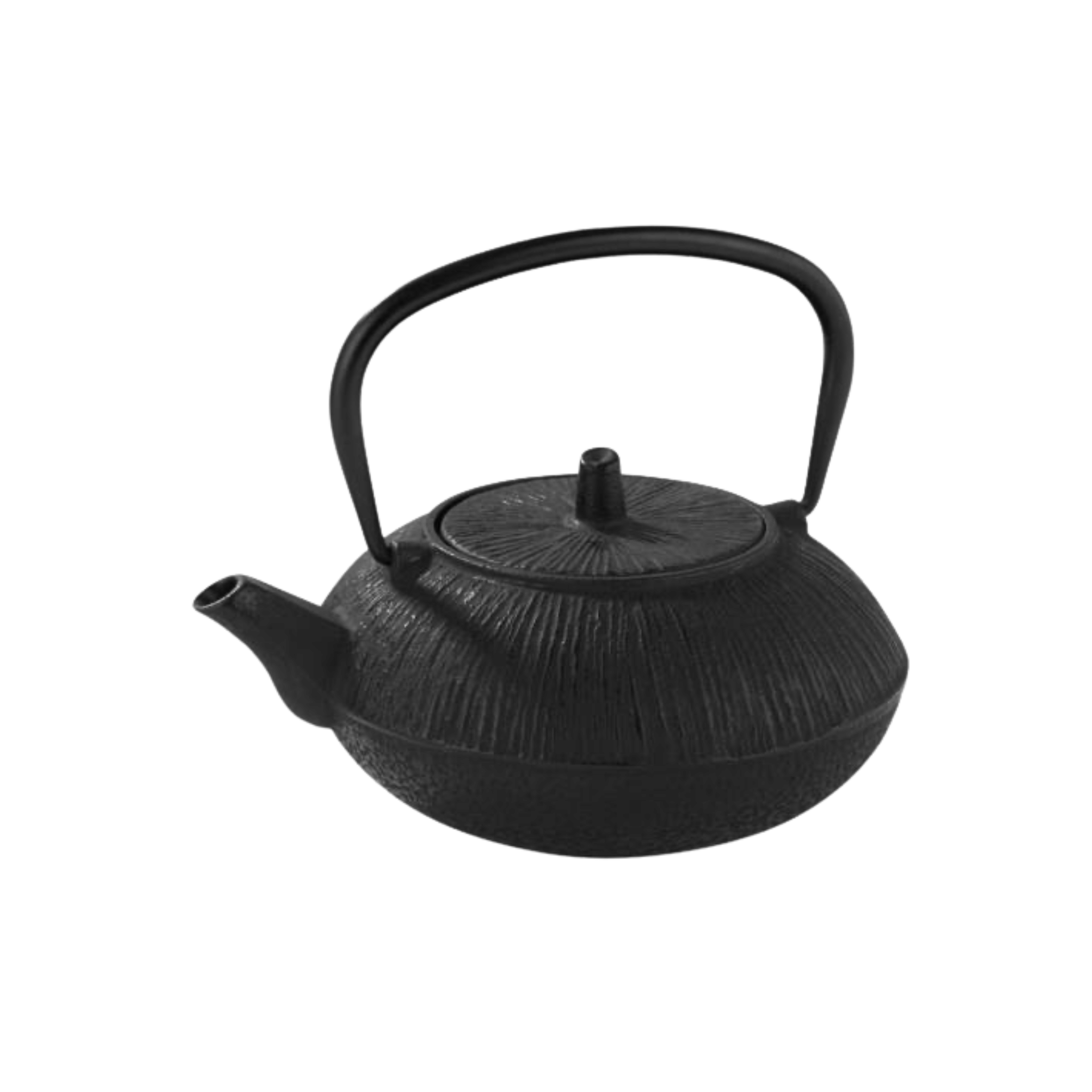 Cast Iron Tea Pot [Japanese] – Black 800Ml Pujadas