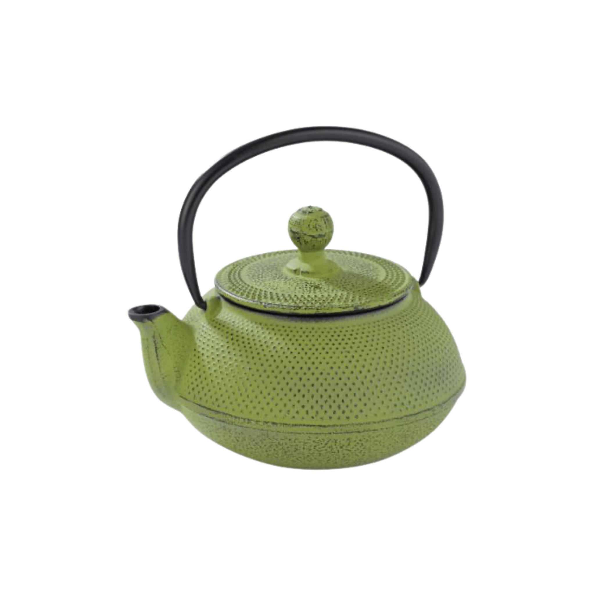 Cast Iron Tea Pot [Nipon] – Green 600Ml Pujadas