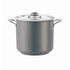 Pot (Grey) Stock 13.6L W/Lid Pujadas